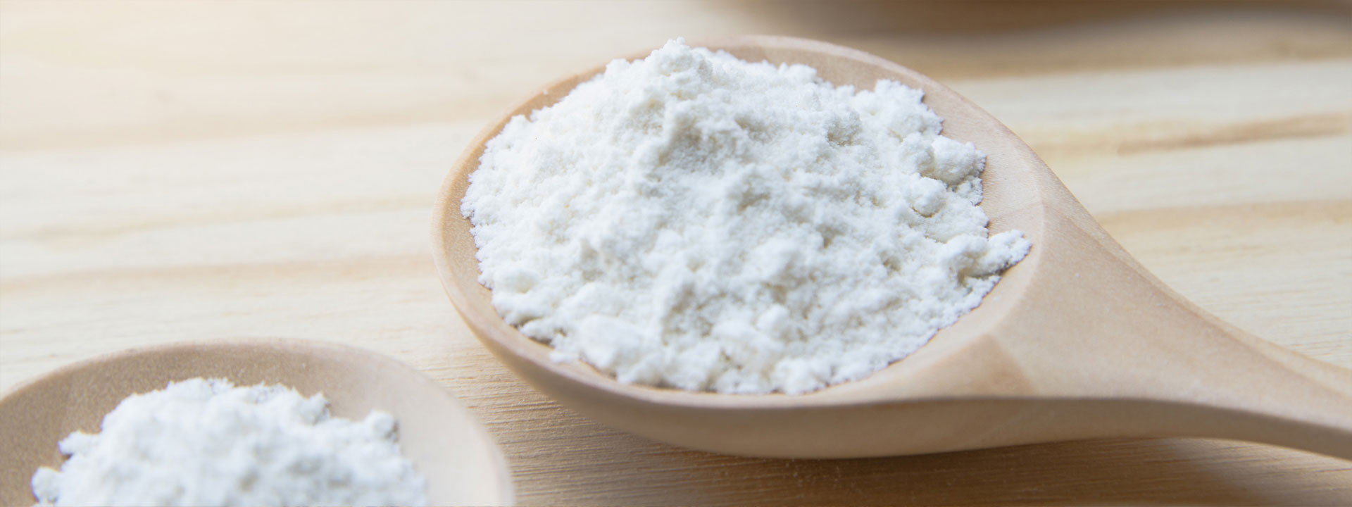 zucchero fondente in polvere Newchem